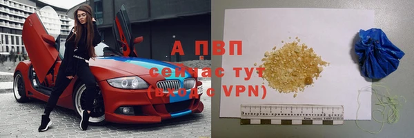гашик Шарыпово
