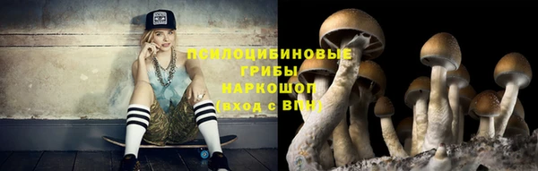 мескалин Шадринск
