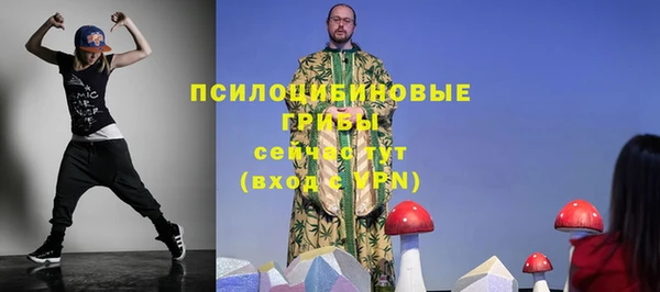 гашик Шарыпово