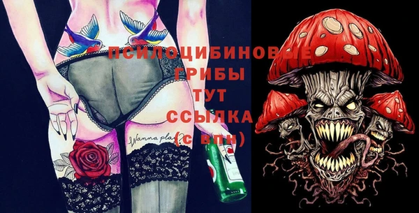 гашик Шарыпово