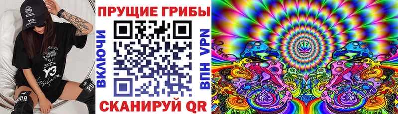 кракен рабочий сайт  Самара  Галлюциногенные грибы Cubensis 