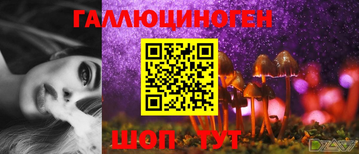 Псилоцибиновые грибы MAGIC MUSHROOMS  Вход с VPN  где продают наркотики  Самара 